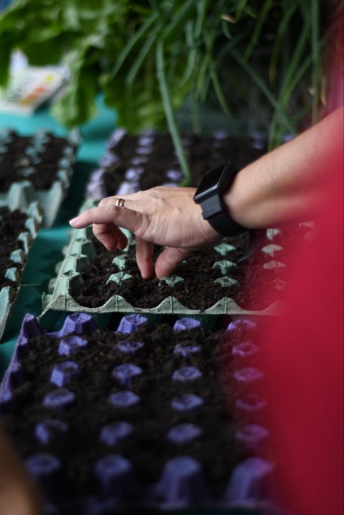 Imagen Plantar Futuro